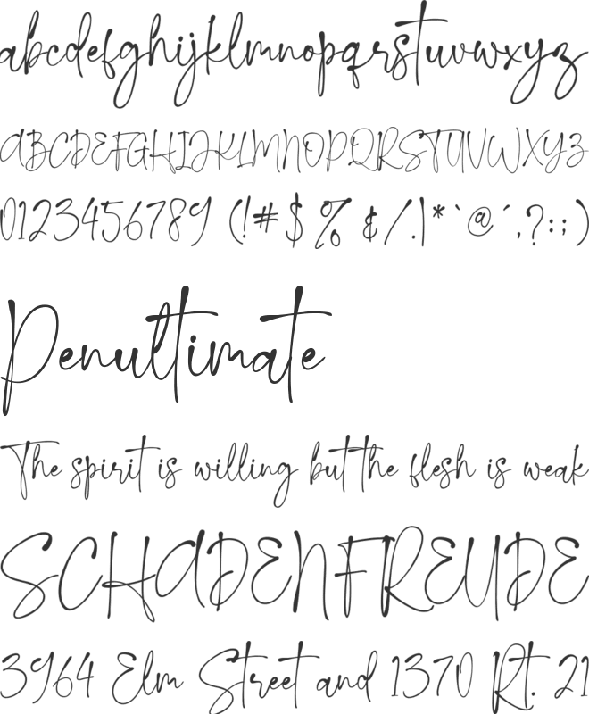 Kallissa Signature font preview