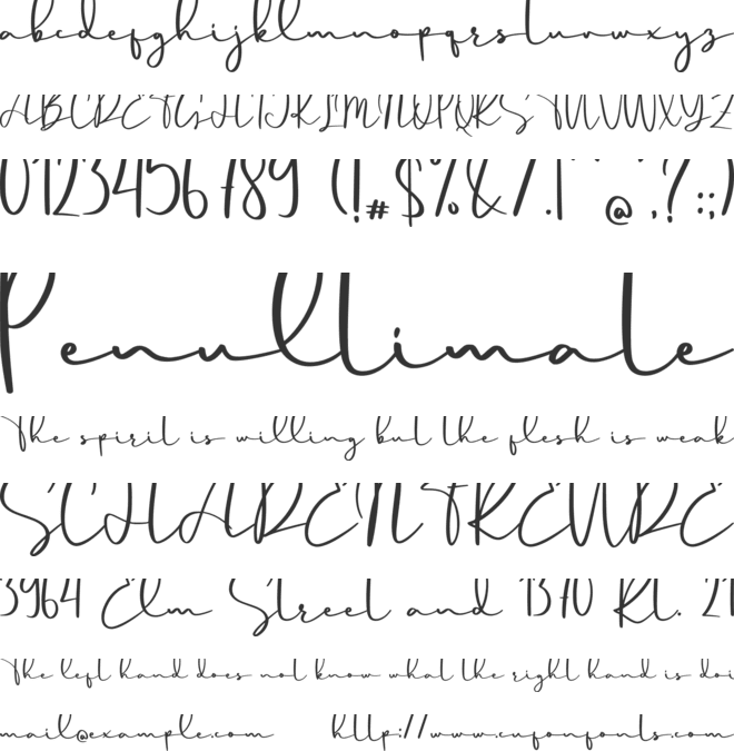 Gianluca font preview