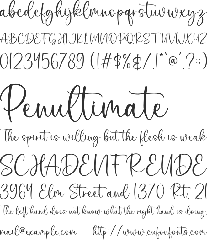 Selvia font preview