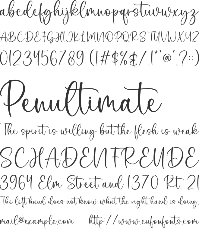 Selvia font preview