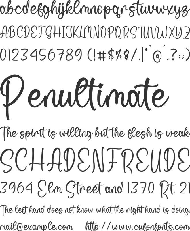 Florist Phillstar font preview
