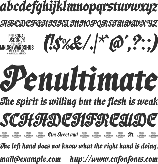 Wardshus Calligraphy PERSONAL font preview