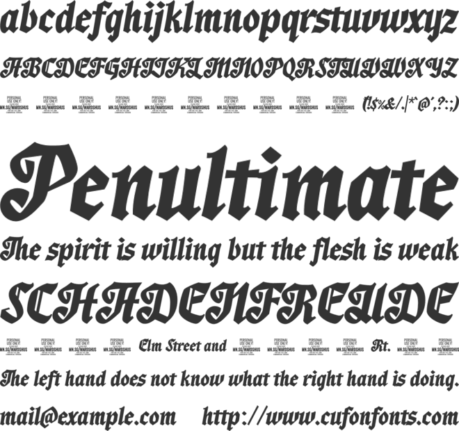 Wardshus Calligraphy PERSONAL font preview