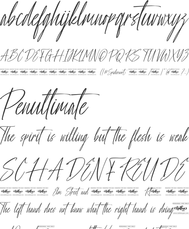 Spiderwort Personal Use font preview