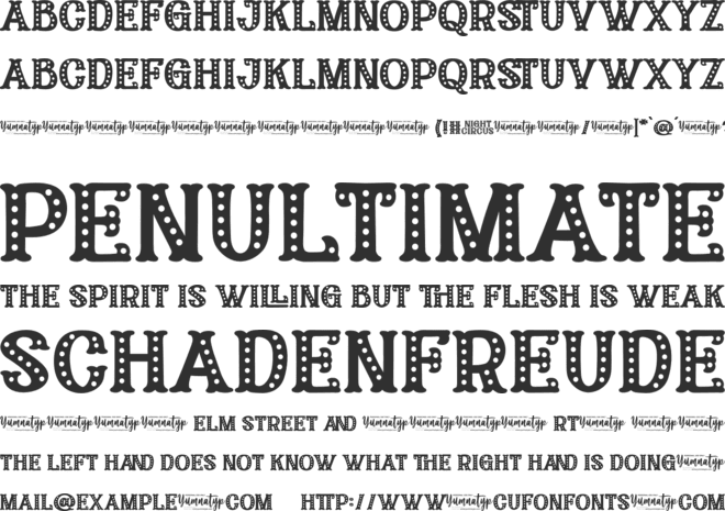 Night Circus Personal Use font preview