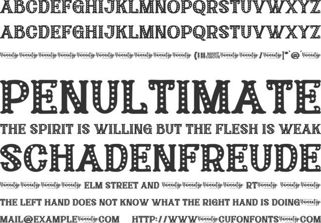 Night Circus Personal Use font preview