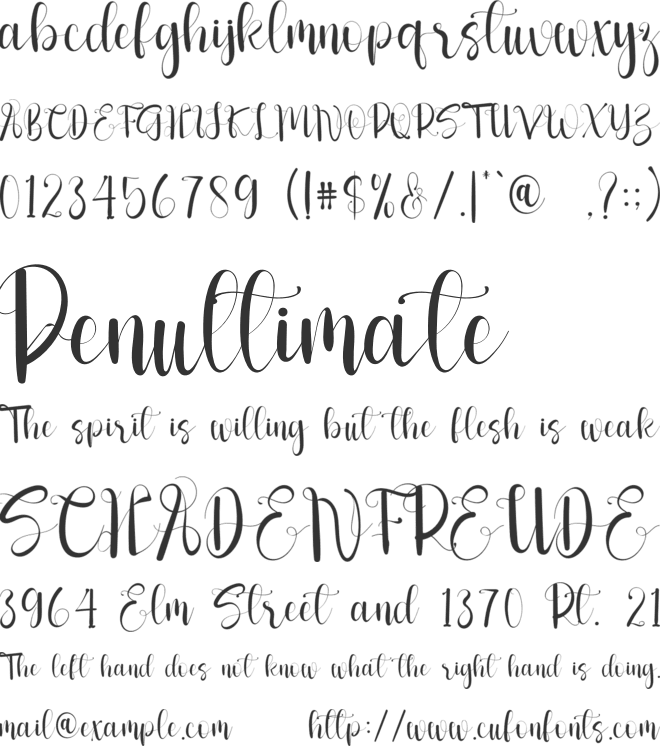 Enjoynes font preview