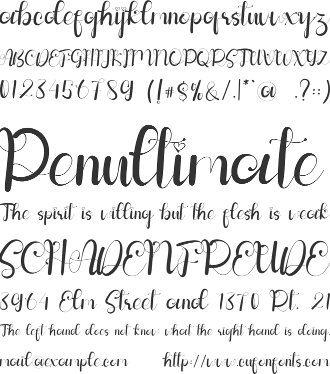 Confidence font preview