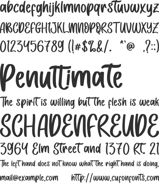 Rustic Time - Personal Use font preview