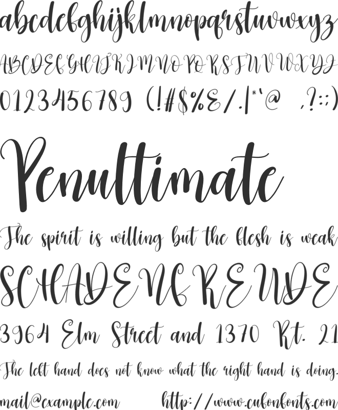 Chocolate Signature font preview