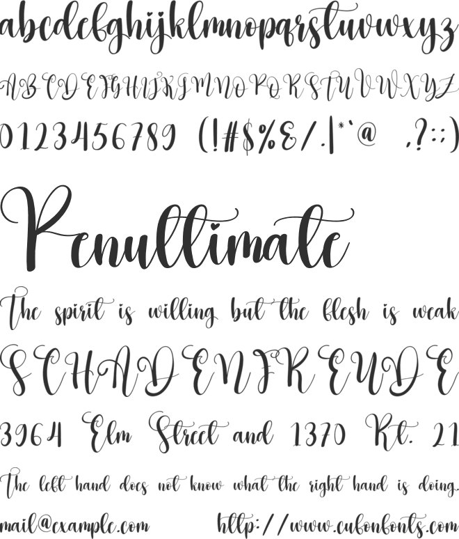 Hey Christmas font preview