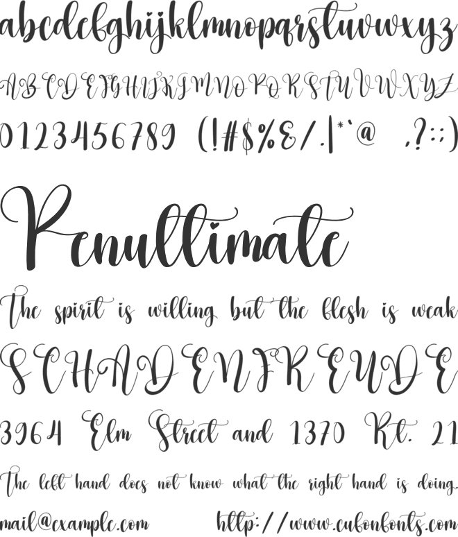 Hey Christmas font preview