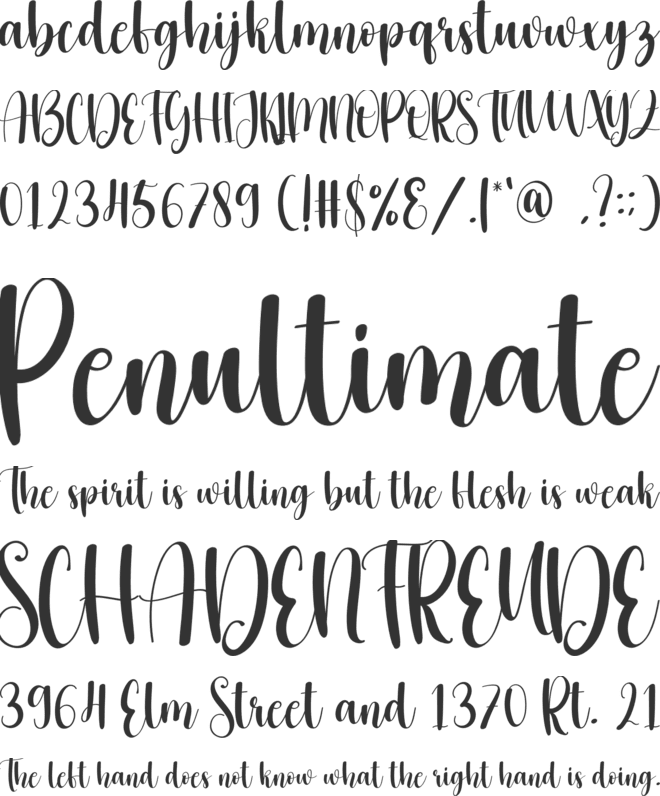 Turkey font preview