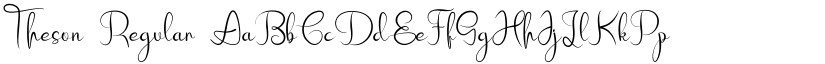 Theson font download