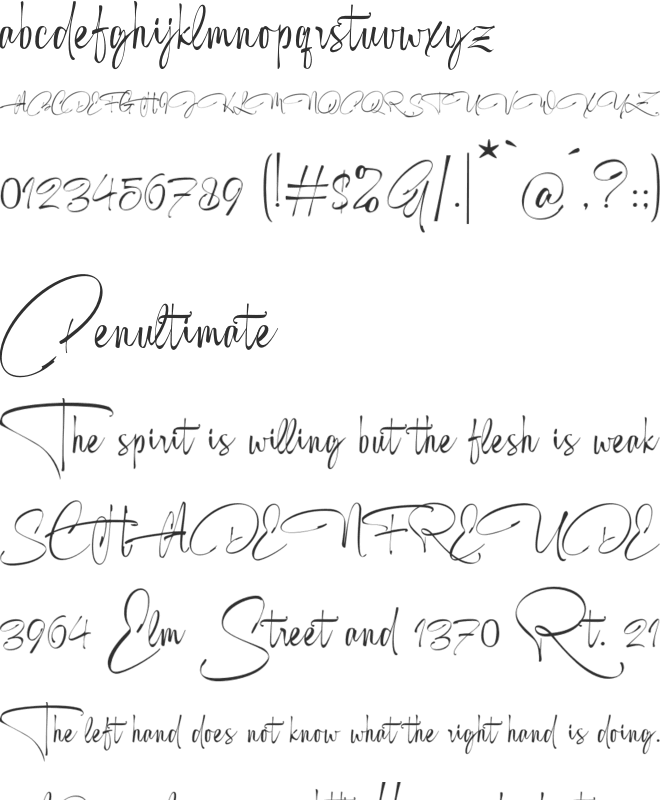 Rogelio Script font preview