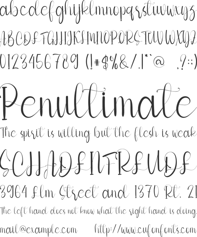 Family Of Beautiful font preview