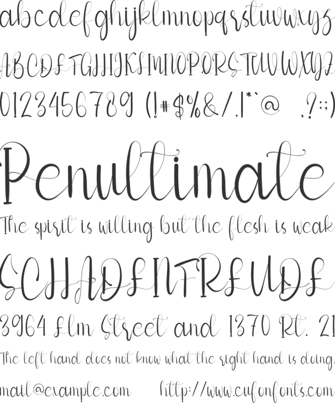 Family Of Beautiful font preview