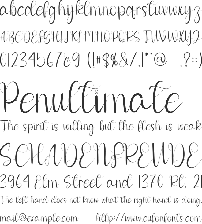 Beautiful Sunflower font preview