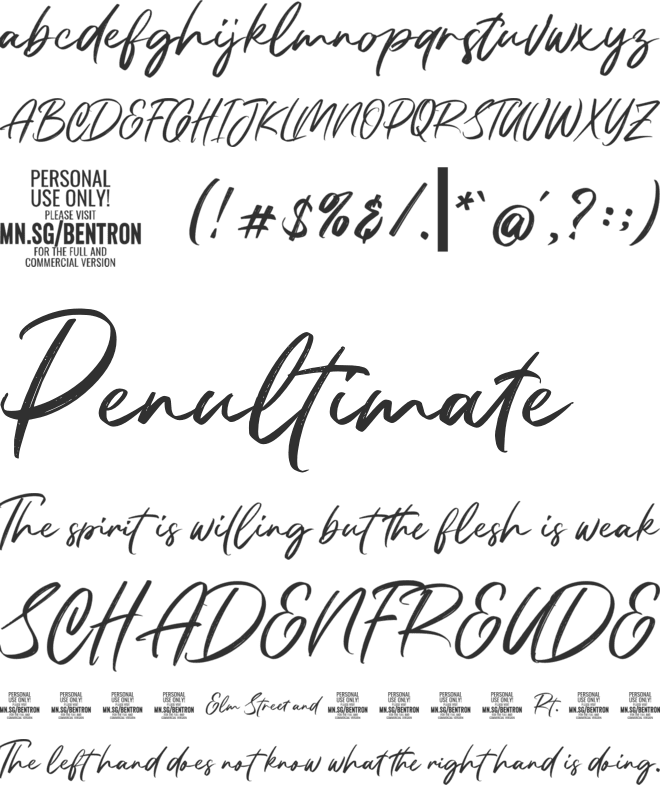 Bentron Calligraphic PERSONAL font preview