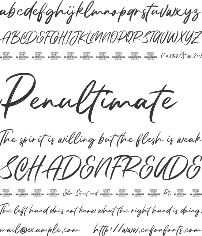 Bentron Calligraphic PERSONAL font preview