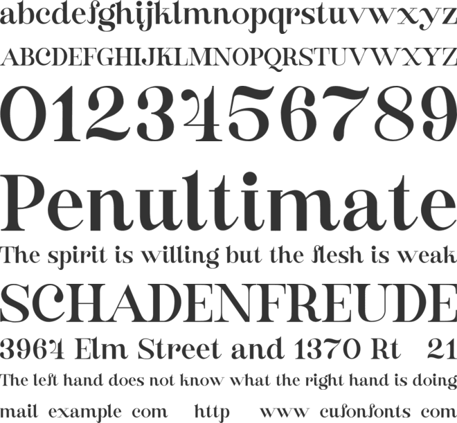 Buche font preview