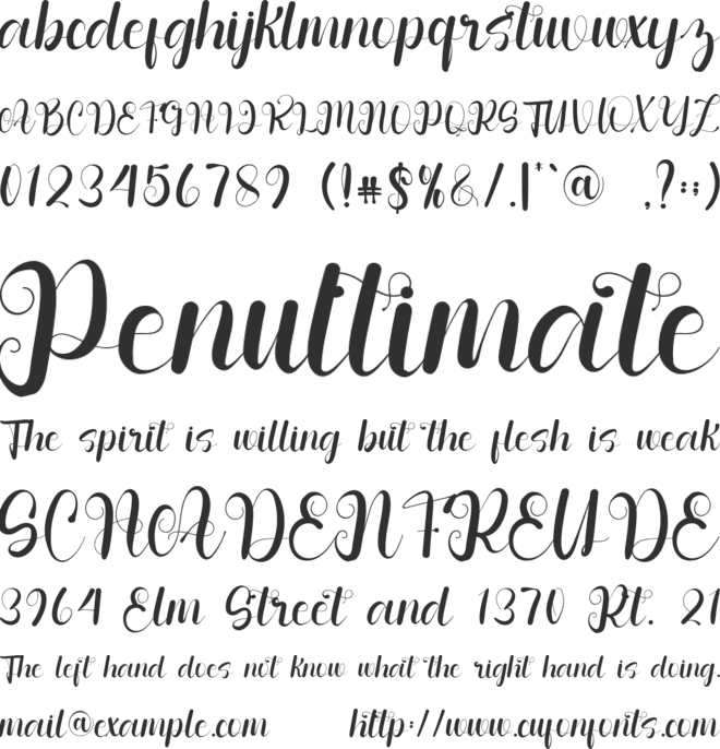 Wonderful Calligraph font preview