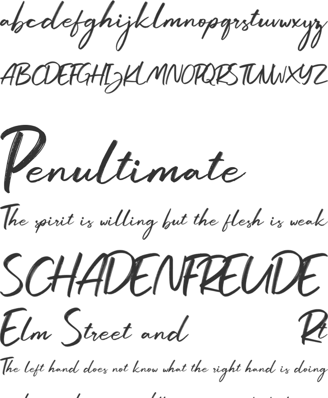 Larissa font preview