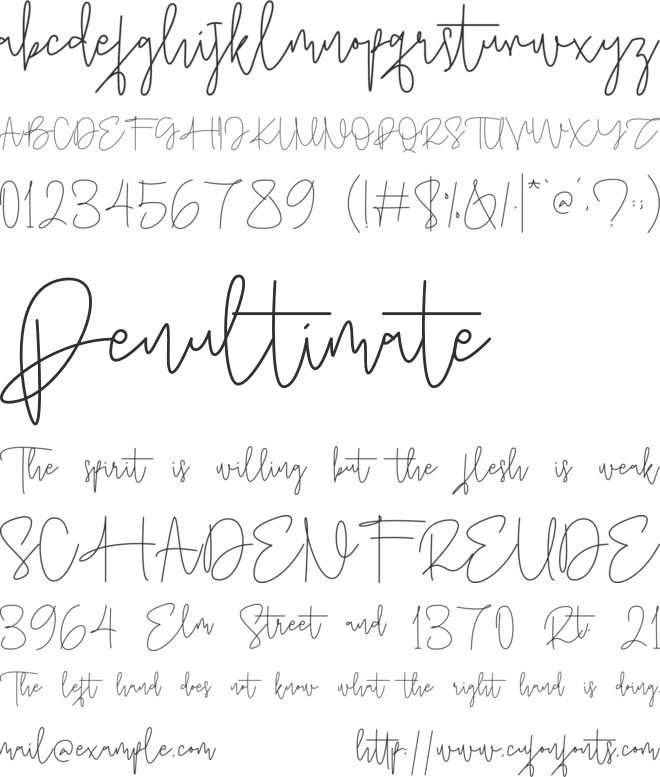 Amontiny Signature font preview