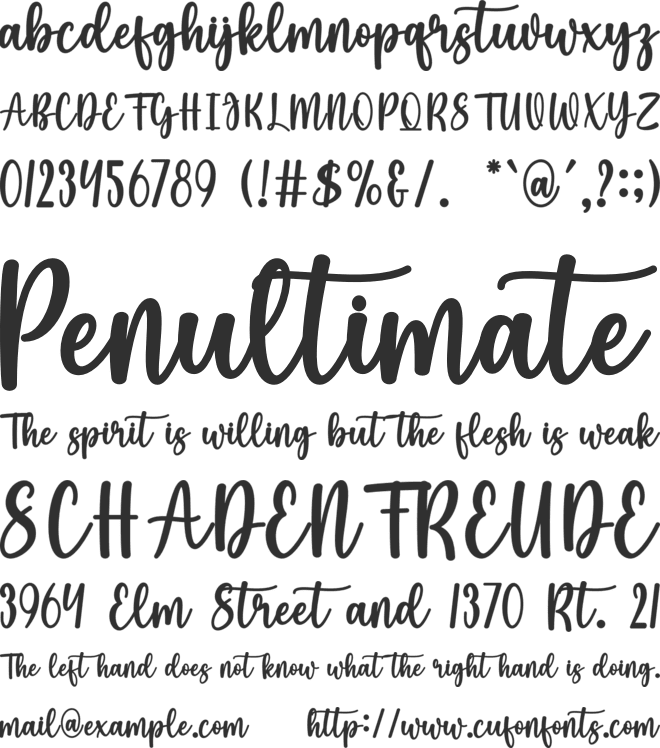Angelica Maya font preview