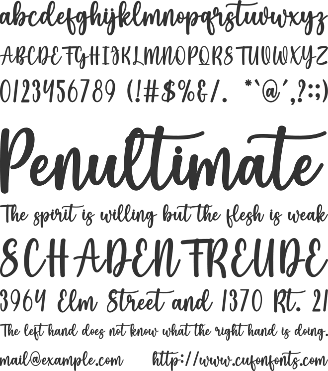 Angelica Maya font preview