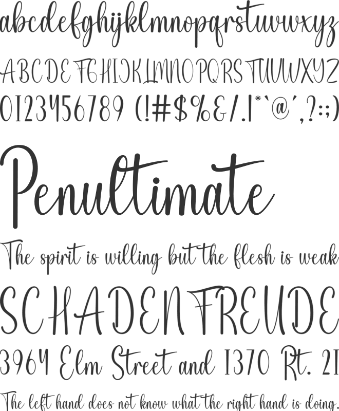 Canelia font preview