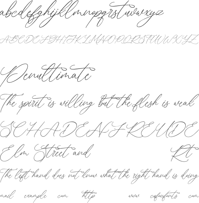 Norlandy Free font preview