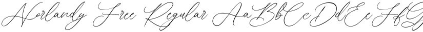 Norlandy Free Regular font