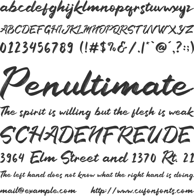 Railly font preview