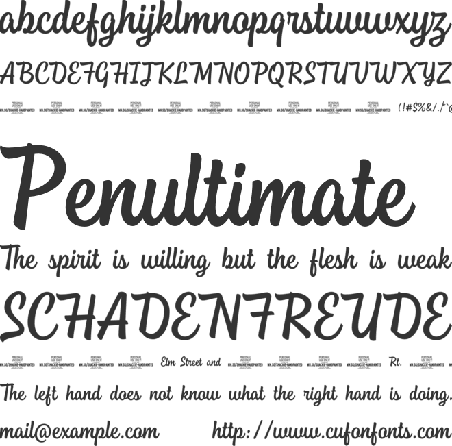 Shackie Handpainted PERSONAL font preview
