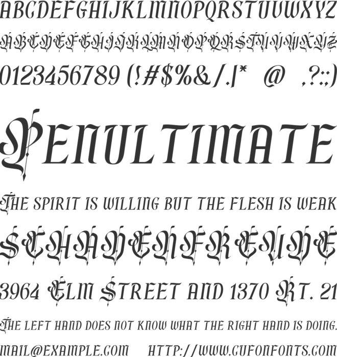 Rainmoney free version font preview