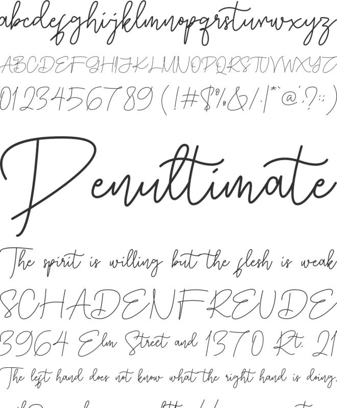 Damtune Script font preview