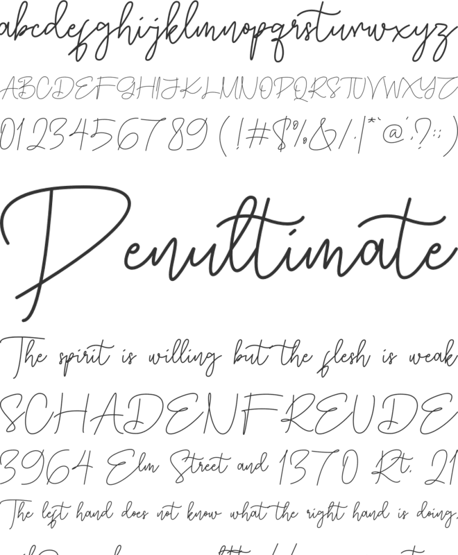 Damtune Script font preview