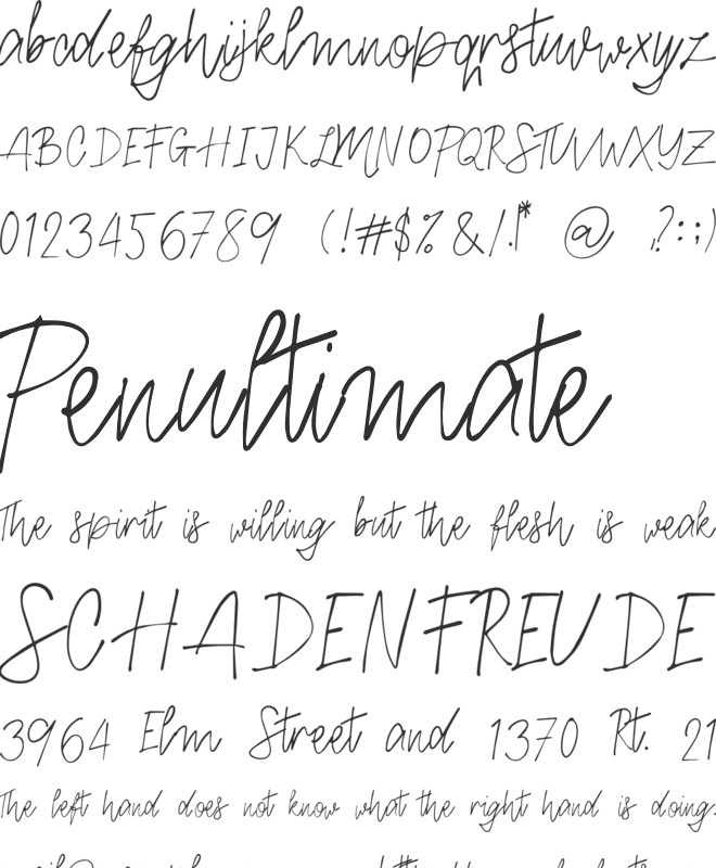Signature Presto font preview