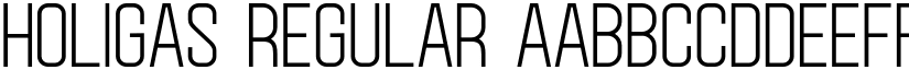 Holigas Regular font
