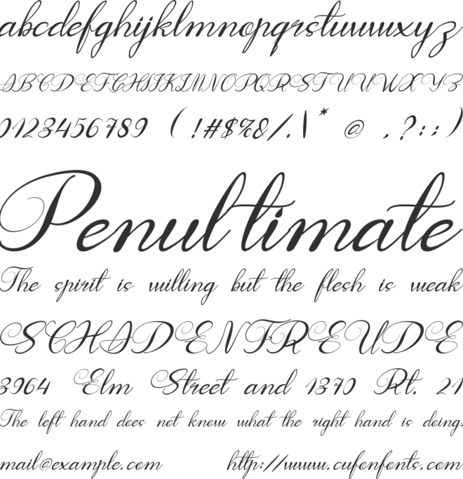 Fast Coffee font preview