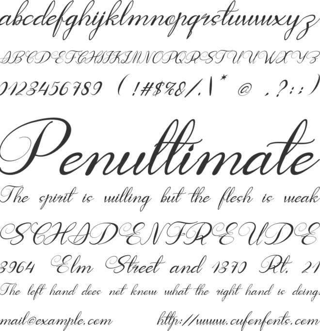 Fast Coffee font preview