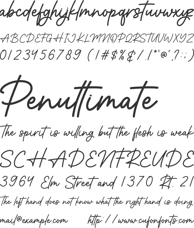 Renika font preview