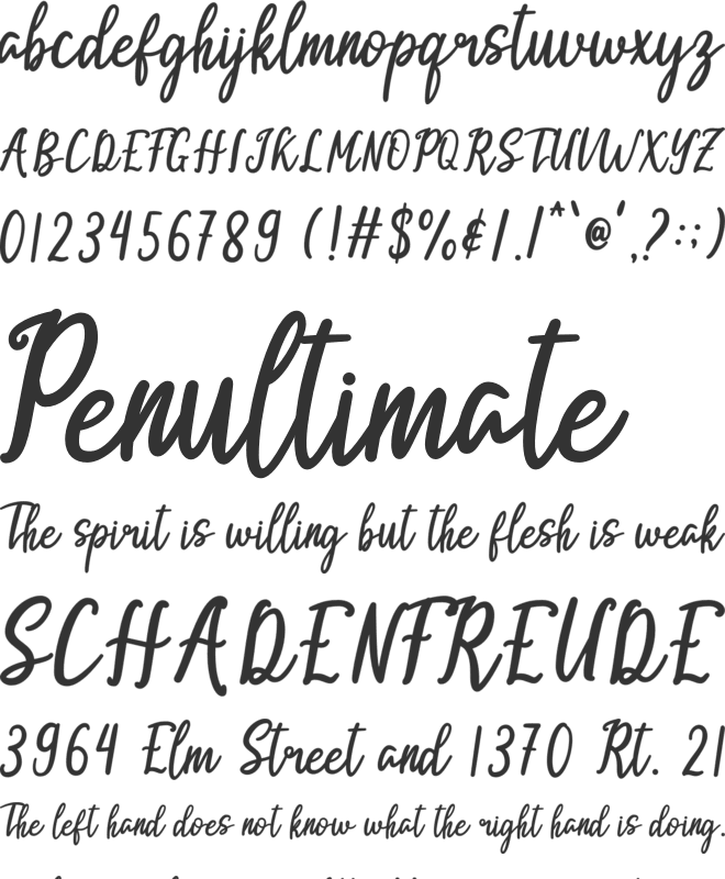 Sinta Bella font preview