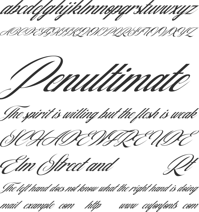 Amelina Script font preview