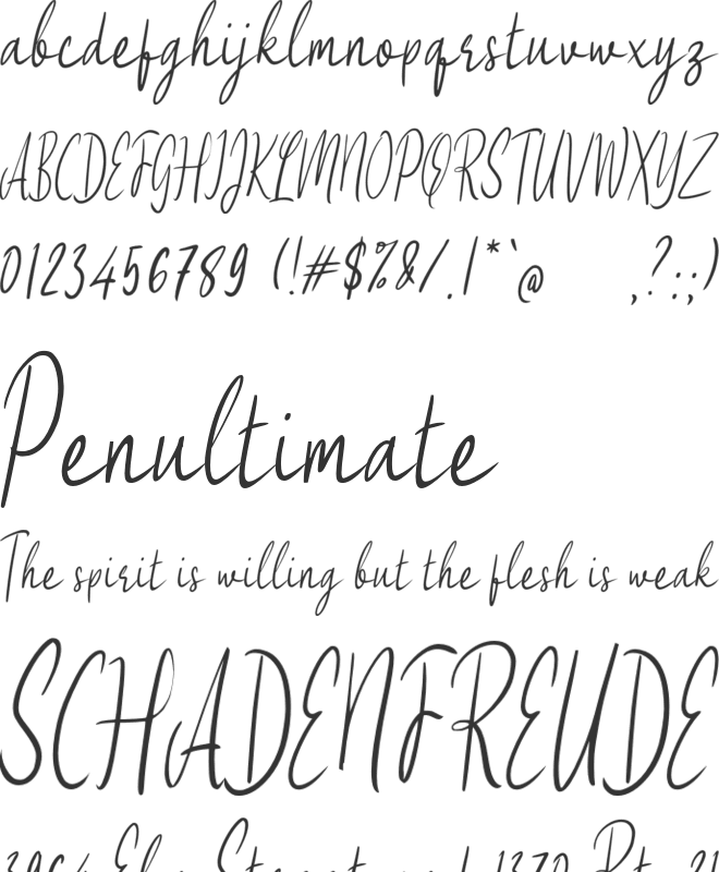 g Genangan Script font preview