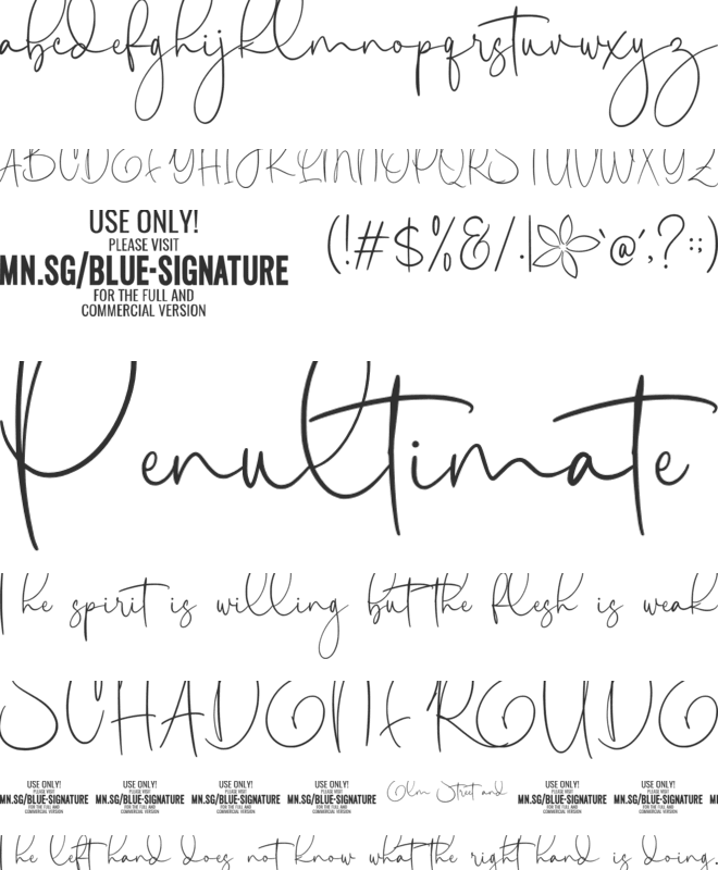 Blue Signature PERSONAL USE font preview