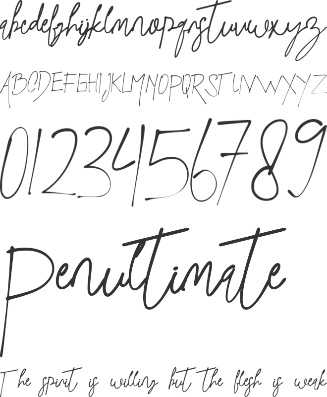 Black Article font preview