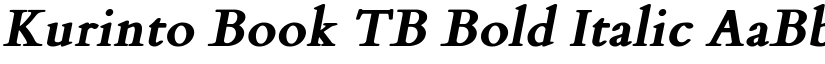 Kurinto Book TB Bold Italic font