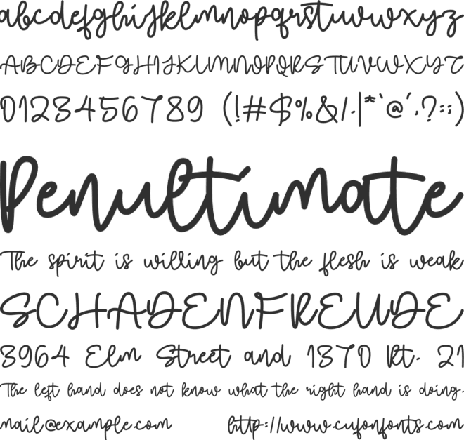This year font preview